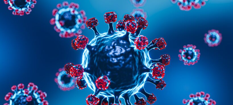 Probióticos y Sistema Inmunológico: Refuerza tus Defensas desde el Intestino